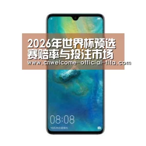 华为无线快充手机