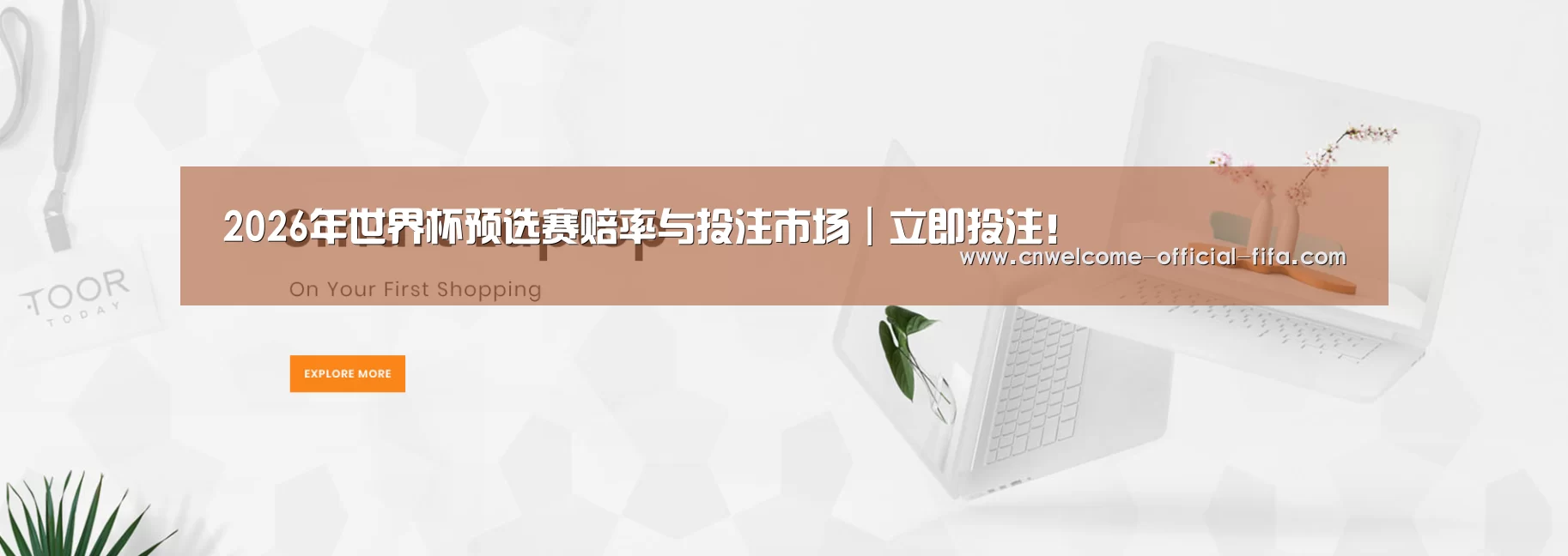 某某网络科技有限公司
