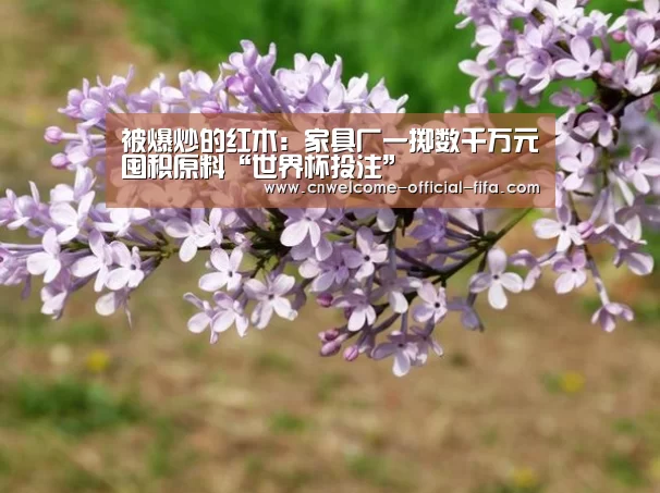 世界杯投注