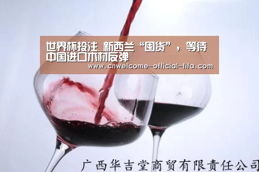 世界杯投注