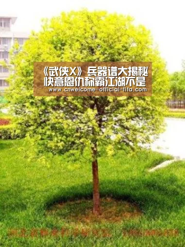 世界杯投注